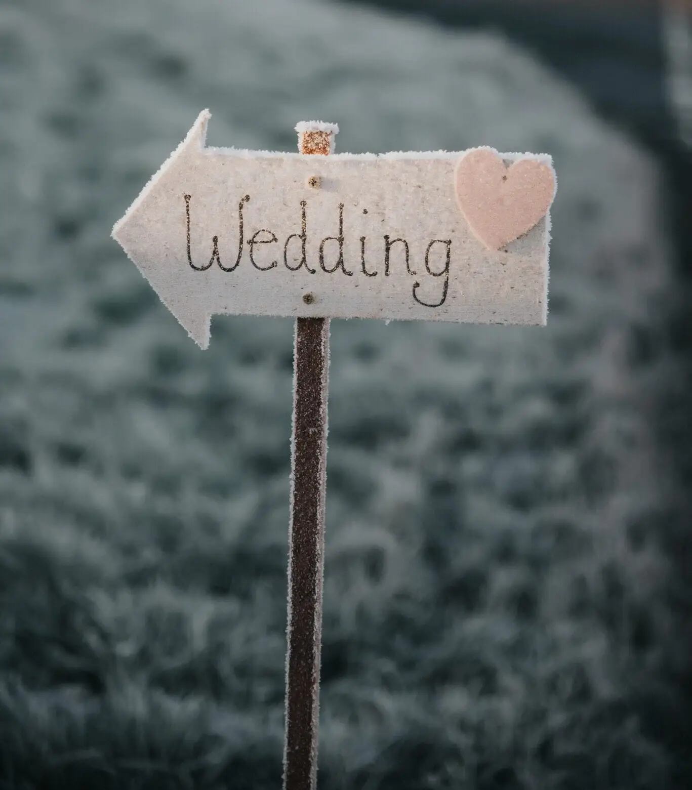 Winter wedding sign covered in frost