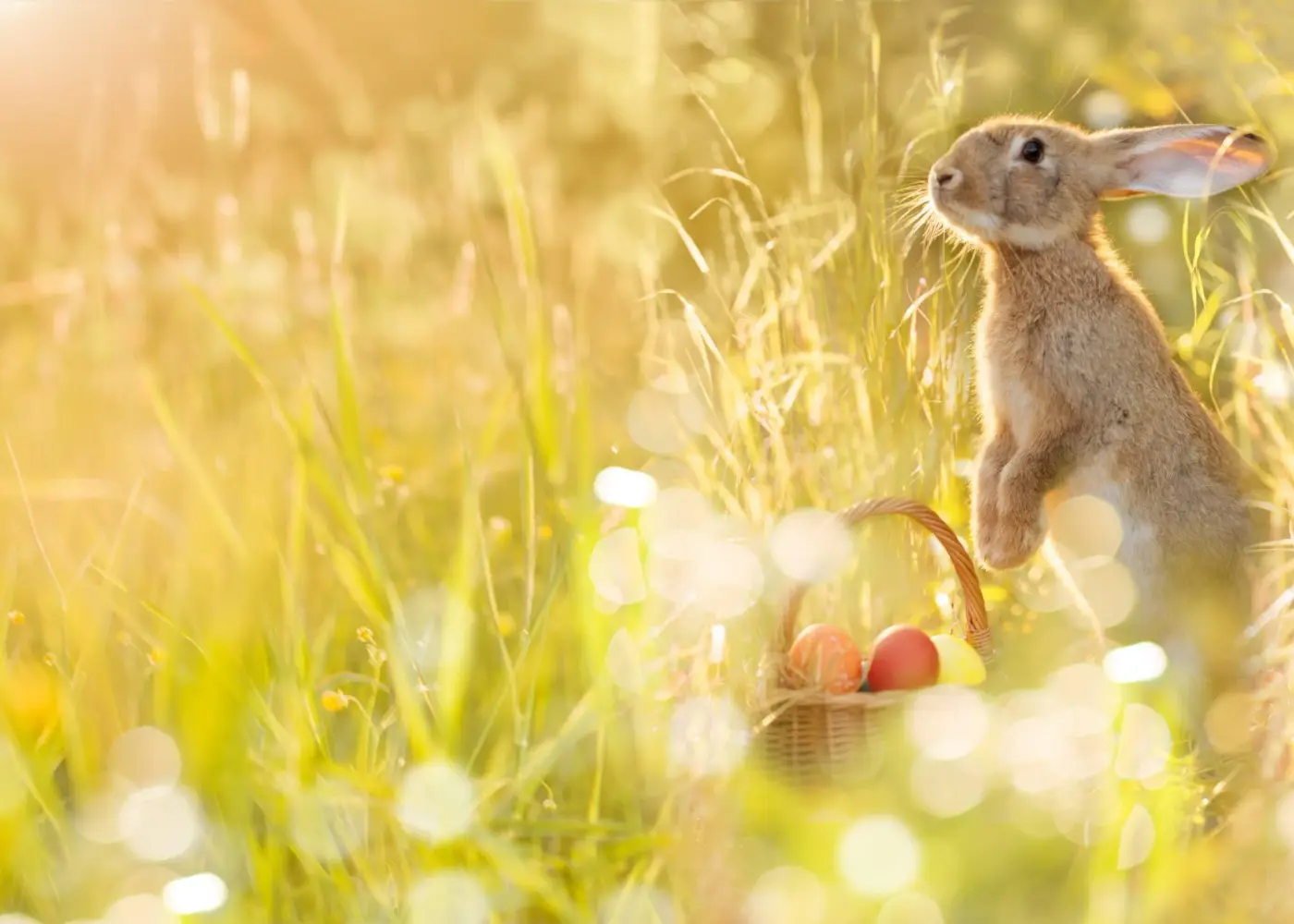 Easter