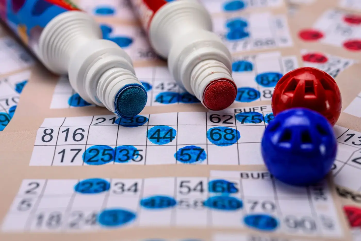 Bingo Nights