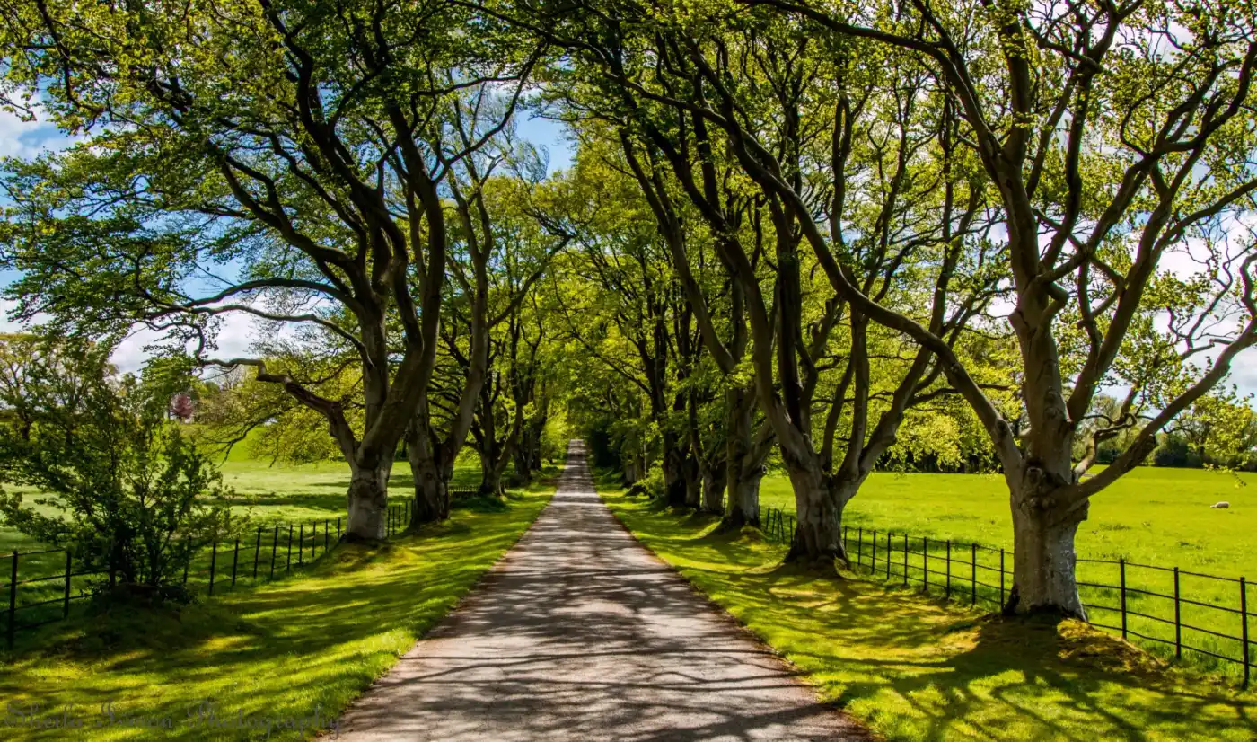 Whats on in May and June 2024, at Blaithwaite Estate
